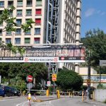 Rianimazione invasa da pulci, pronta interrogazione parlamentare. Ma l’ospedale smentisce:”Ultimammente presenti solo alcuni gatti”