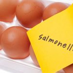 Salmonella nelle uova, nuovi richiami di lotti nell'Aquilano