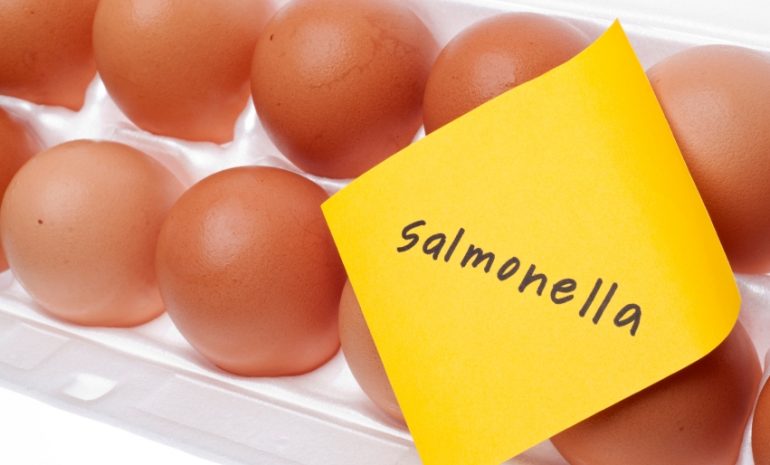 Salmonella nelle uova, nuovi richiami di lotti nell'Aquilano