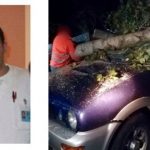 Albero cade su un’auto: infermiere mette in salvo due uomini