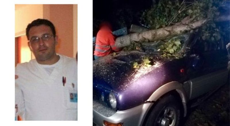 Albero cade su un’auto: infermiere mette in salvo due uomini