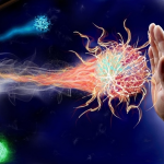 Nobel per la medicina per la terapia tumorale: premiati James Allison e Tasuku Honjo