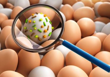 “Presenza di salmonella”: richiamati tre lotti di uova e due di marlin affumicato