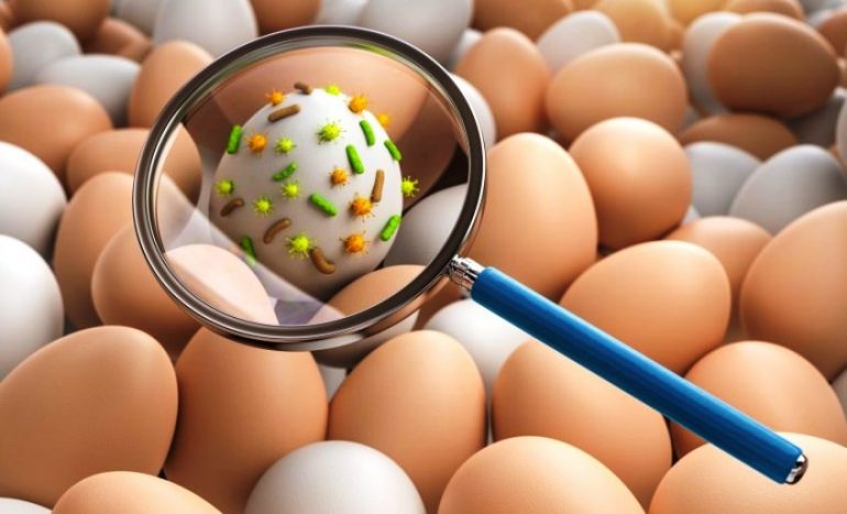 “Presenza di salmonella”: richiamati tre lotti di uova e due di marlin affumicato