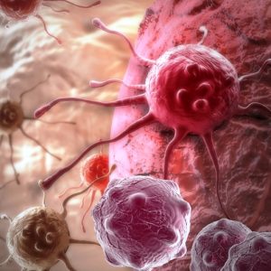 Scoperto il codice di autodistruzione delle cellule tumorali: stop alla chemio?