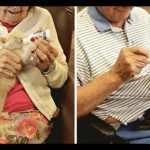 Gattini e anziani potranno convivere in una struttura per donarsi amore reciproco