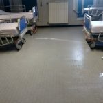Paziente ricoperta di formiche: effettuata disinfestazione dagli insetti nella camera di degenza