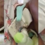 Paziente ricoperta di formiche: sospesi tutti i medici e gli infermieri in turno
