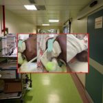 S. G. Bosco: formiche in reparto problema noto. Gli infermieri denunciano la dirigenza