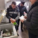 Mondaino, sequestrata casa di riposo lager: anziani malmenati e sedati con farmaci non prescritti