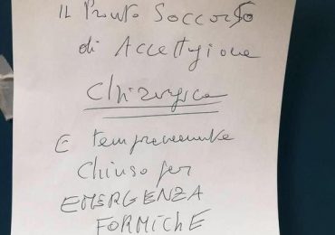 Napoli "San Giovanni Bosco": invasione di formiche