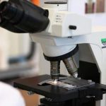 Scoperta la firma molecolare comune a molti tumori: agevolerà la diagnosi precoce