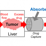 Chemioterapia meno tossica grazie ad una spugna "assorbi-farmaco"