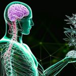 Marijuana e disturbi psichici, esiste un nesso?
