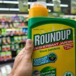 Bufera su Bayer: la grana glifosato fa precipitare il titolo in borsa