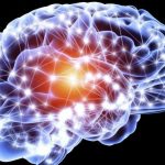 La forza del cervello umano: può produrre neuroni fino ai 90 anni