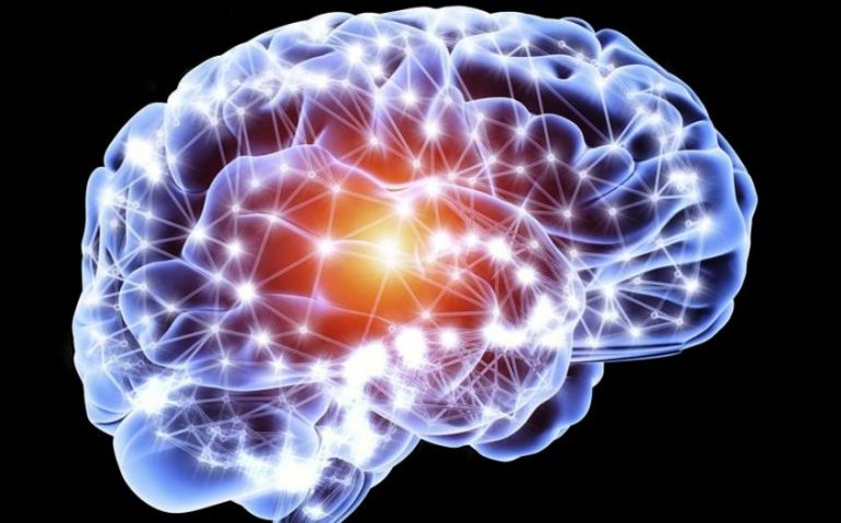 La forza del cervello umano: può produrre neuroni fino ai 90 anni