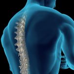 Scoperti i geni che favoriscono la rigenerazione del midollo spinale. Nuove speranze nelle cure dei mielolesi