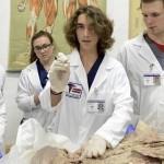 Anche in Italia si potrà donare il proprio corpo alla scienza