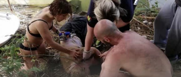 Anziano si lancia nel fiume: Infermiera e OSS fuori servizio gli salvano la vita