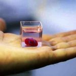 Chirurgia del futuro: il cuore stampato in 3D