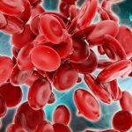 Corso Fad Gratuito per operatori di programmi trapianto di cellule staminali emopoietiche