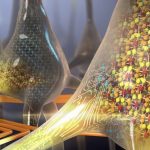 Create in Italia le prime nano-protesi nervose per lesioni spinali