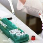 Dalle Car-T alle Car-NK: l’immunoterapia si evolve ed elimina gli effetti collaterali