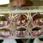 Nuove speranze per i mielolesi: arriva il primo midollo spinale stampato in 3D