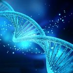 Autismo, scoperte nuove mutazioni del Dna