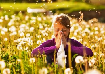 Cambiamenti climatici: in aumento le allergie (e non solo)