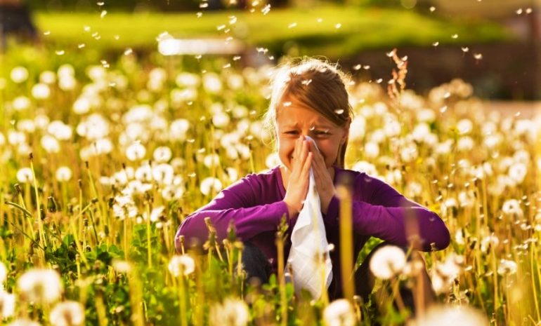Cambiamenti climatici: in aumento le allergie (e non solo)