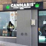 Canapa shop, Salvini all’attacco: “Devono chiudere. Non sono ministro di uno Stato spacciatore”