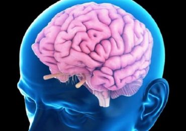 Declino cerebrale: bloccare una proteina per recuperare i deficit legati all’età