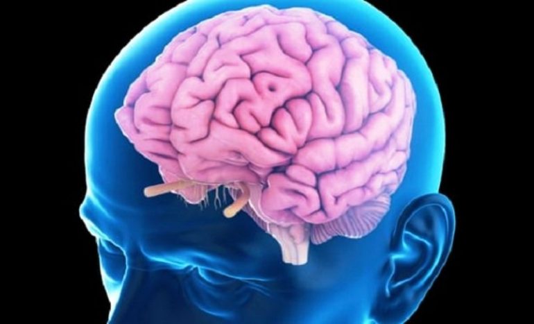 Declino cerebrale: bloccare una proteina per recuperare i deficit legati all’età
