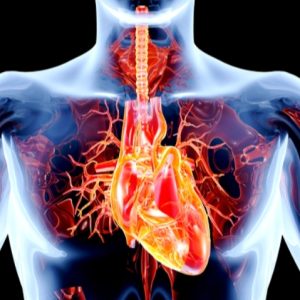 Disfunzioni delle valvole cardiache: solo un italiano su sette ha accesso alle terapie innovative