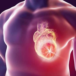 Rigenerare un cuore colpito da infarto? Si può fare