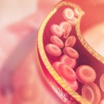 Indurimento delle arterie, la responsabile è una proteina: porte aperte a una soluzione terapeutica