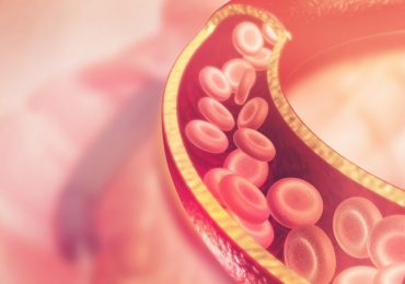 Indurimento delle arterie, la responsabile è una proteina: porte aperte a una soluzione terapeutica