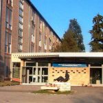 Bozza automatica 114