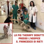Il maialino Bacon debutta in corsia per dare sollievo ai malati terminali dell’Hospice di Rieti