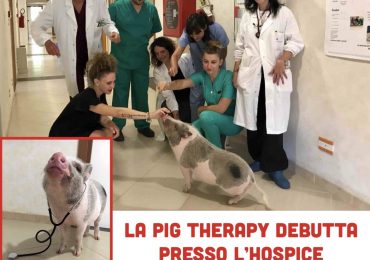 Il maialino Bacon debutta in corsia per dare sollievo ai malati terminali dell’Hospice di Rieti