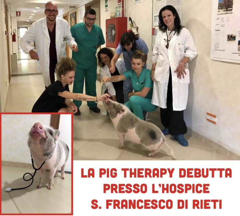 Il maialino Bacon debutta in corsia per dare sollievo ai malati terminali dell’Hospice di Rieti