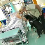 Prima “Pet Visiting” al Santo Stefano: paziente in rianimazione può così riabbracciare il proprio cane