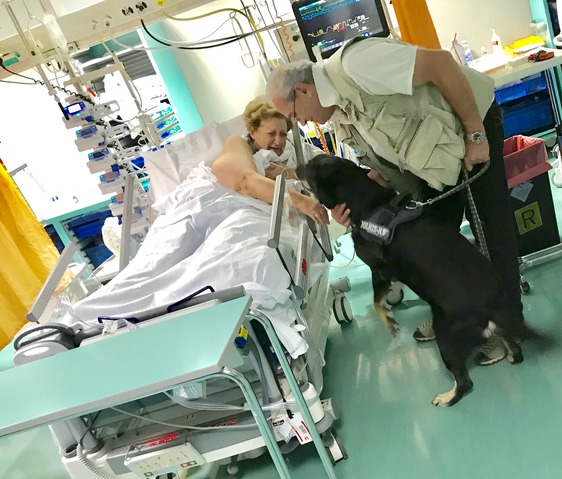 Prima “Pet Visiting” al Santo Stefano: paziente in rianimazione può così riabbracciare il proprio cane