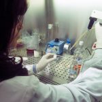 Bozza automatica 173