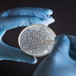 Bozza automatica 196