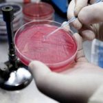 Bozza automatica 211