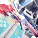 Bozza automatica 241