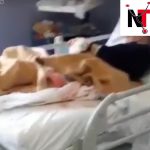 Napoli, Ospedale San Paolo: pazienti per ore con lenzuola sporche di sangue e urine. La denuncia della  e del consigliere Borrelli